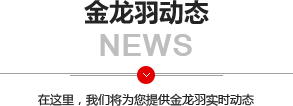 興和弘動(dòng)態(tài)-在這里，我們將為您提供興和弘實(shí)時(shí)動(dòng)態(tài)